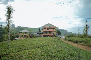 Woodgreens Ecopath Resort Calvary Mount Idukki